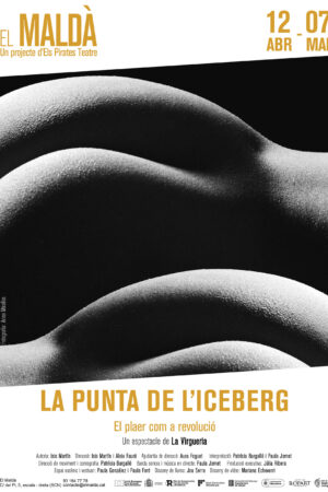 CARTELL A3_LA PUNTA DE L'ICEBERG